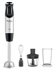 Mixeur Plongeant en Inox avec 3 Accessoire Moulinex 1000W