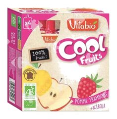 Gourde Cool Fruits Pomme Framboise Bio Vitabio 4x90 g