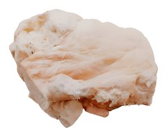 Graisse de Bœuf 500 g