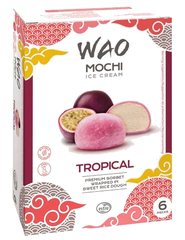 Mochis Glacés Saveur Sorbet Tropical Wao 6 pièces