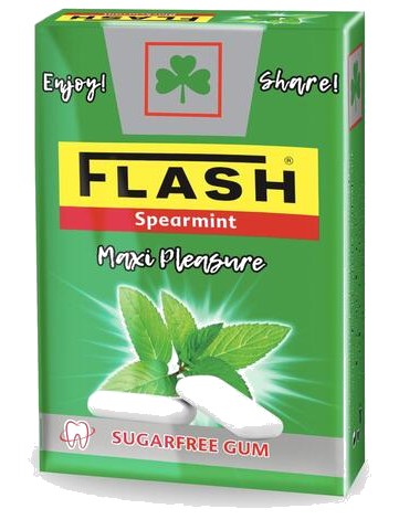 Chewing-Gum Spearmint Flip-Top Flash 25 g