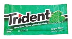 Chewing-Gum Spearmint sans Sucres Trident 5 unités