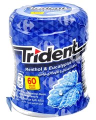 Chewing-Gum Menthe sans Sucre Trident 60 pièces