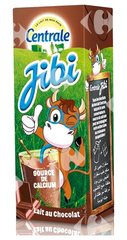 Lait Aromatisé Chocolat Jibi Danone 200 ml