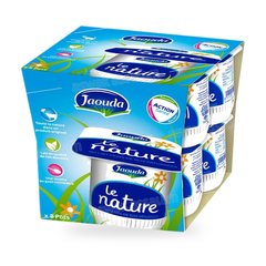 Yaourt Nature 8*110 g Pack Jaouda