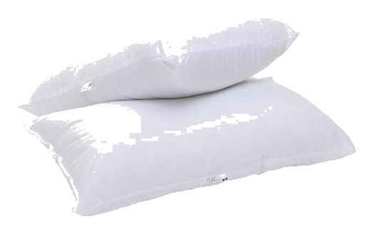 Pack Duo Oreiller Richbond 45x70cm