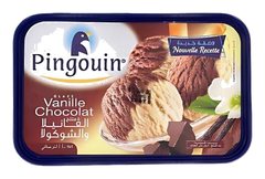 Crème Glacée Vanille Chocolat en Bac Pingouin 1 L