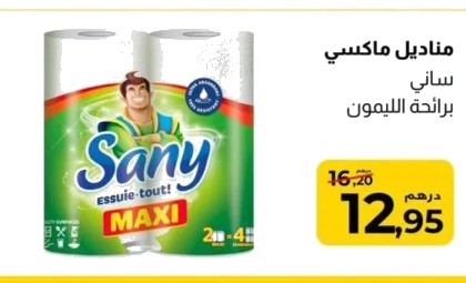Essuie-tout Maxi Sany – Lot de 2
