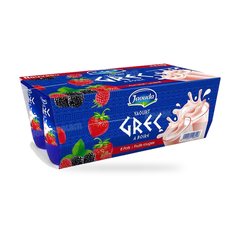 Yaourt a Boire Grec Fruits Rouges 8*165 g Jaouda