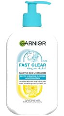 Gel Nettoyant Fast Clear Garnier 250 ml