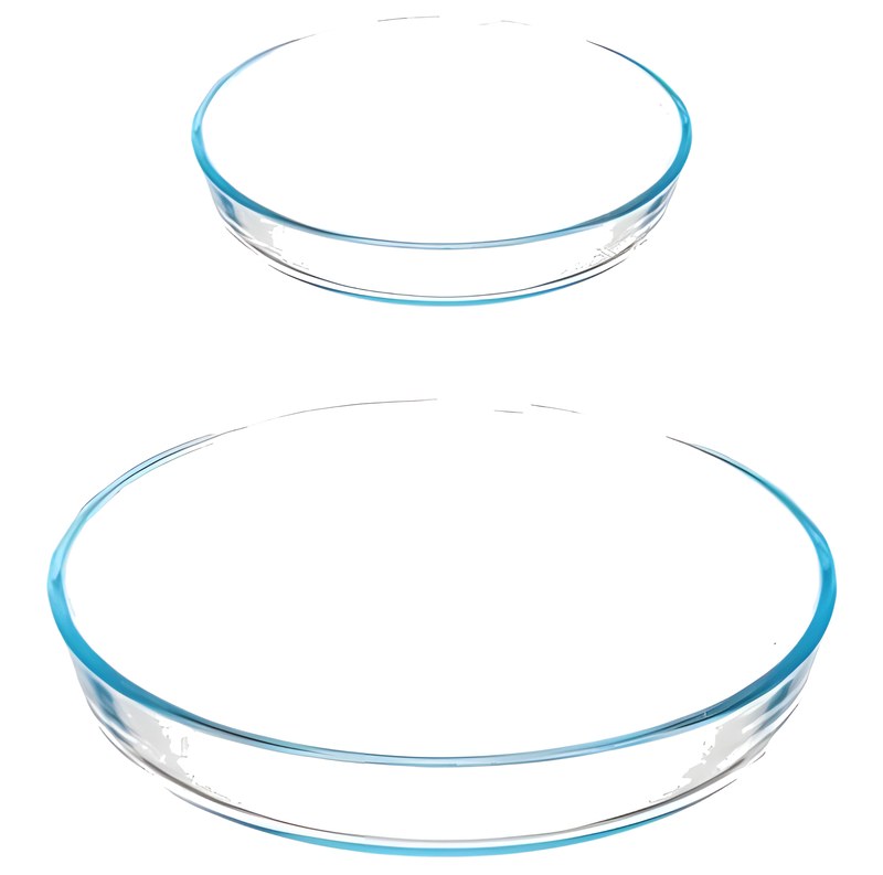 Plat à Four Verre Rond Oval Gravé 24/30 cm 2 pièces