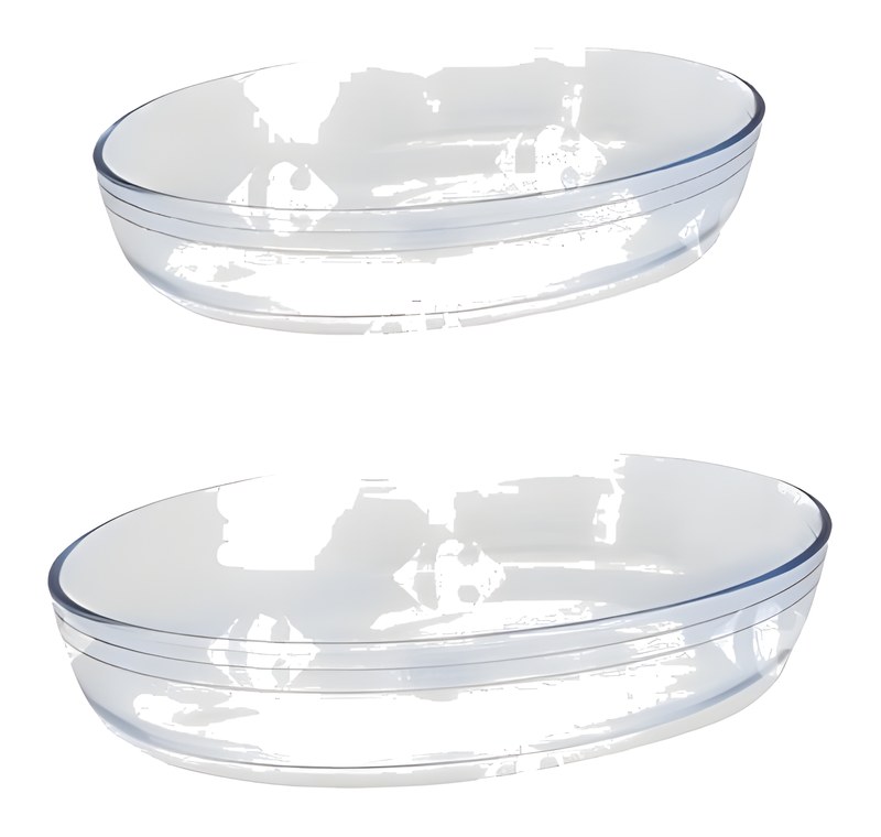 Set de 2 Plats Oval Pyrex 30x21cm et 39x27cm