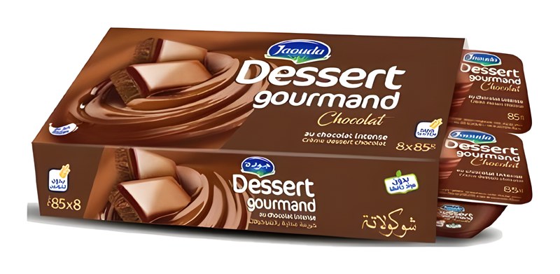 Pack Crème Dessert Gourmand Chocolat Jaouda 8 unités 90 g