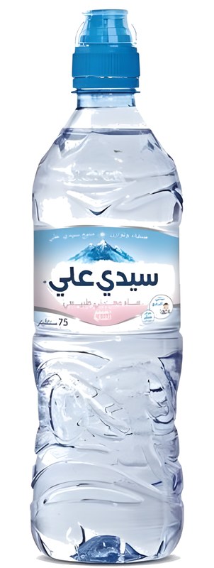 Eau Minérale Sidi Ali 75 cl