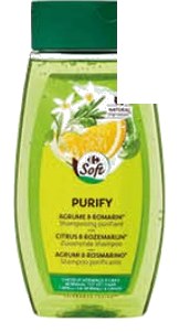 Shampoing normalisant orange romarin Carrefour LCS – 250ml