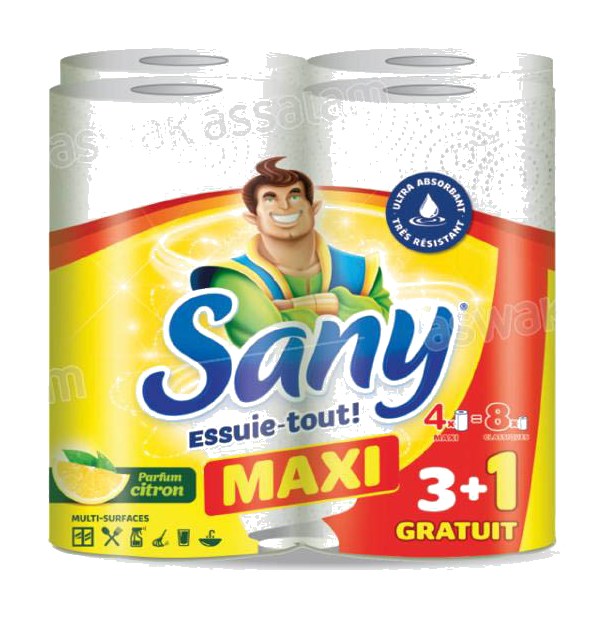 ESSUIE TOUT MAXI CITRON 4 ROULEAUX SANY (3 ACHETES = 1 GRATUIT)