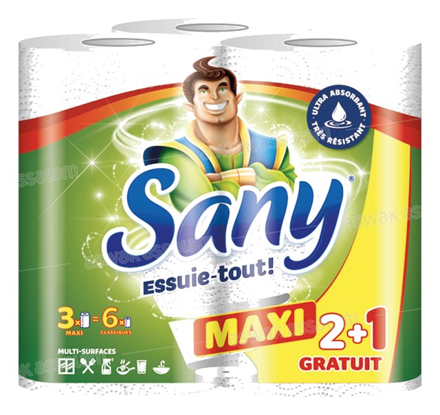 LOT DE 3 ESSUIE-TOUT MAXI 2 PLIS SANY (2 ACHETES = 1 GRATUIT )