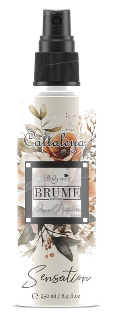 BRUME PARFUMEE SENSATION 250ML CATTALEYA