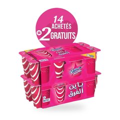 Pack de 16 pots Raïbi Jamila 165 g – DANONE