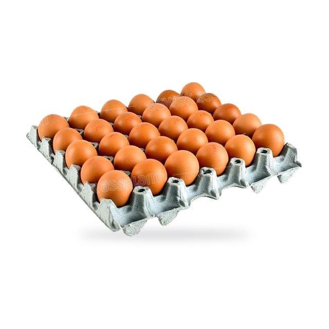 OEUFS FRAIS PLATEAU 30 UNITES WADIF