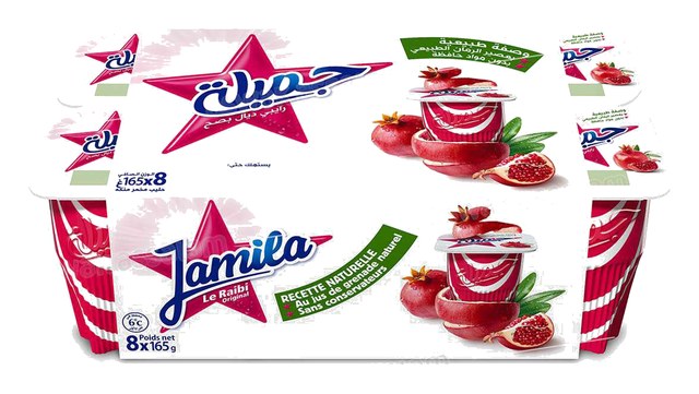 RAIBI JAMILA GRENADINE 8*165G PACK DANONE