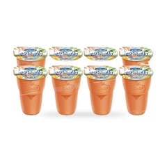 Raibi Tropical 8*165 g Pack Chergui