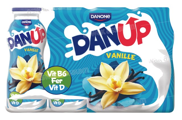 YAOURT A BOIRE DANUP VANILLE 8*170G PACK DANONE