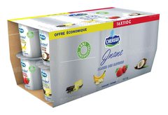 Yaourt Jnane 110 g*16 le Panier Chergui