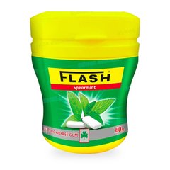 CHEWING-GUM SPEARMINT SANS SUCRE DRAGEES 60G POT IGLOO FLASH