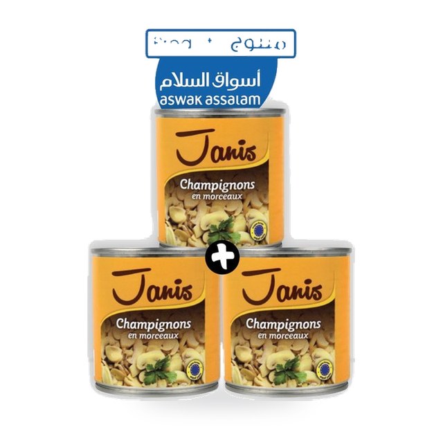 Lot 3 boîtes de champignons en morceaux 185g – JANIS