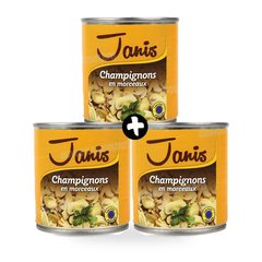 CHAMPIGNON EN MORCEAUX 3*185G JANIS