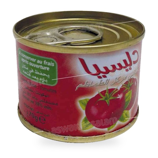 CONCENTRE DE TOMATE 70G DELICIA