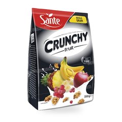 CEREALES CRUNCHY FRUIT 350G SANTE