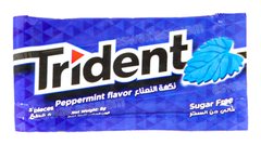 CHEWING-GUM PEPERMINT A L’UNITE TRIDENT