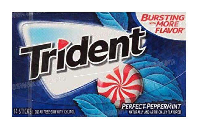 CHEWING-GUM PEPPERMINT SANS SUCRE 14 PIECES TRIDENT