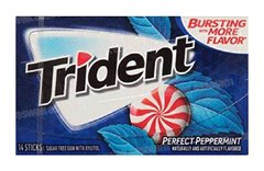 CHEWING-GUM PEPPERMINT SANS SUCRE 14 PIECES TRIDENT
