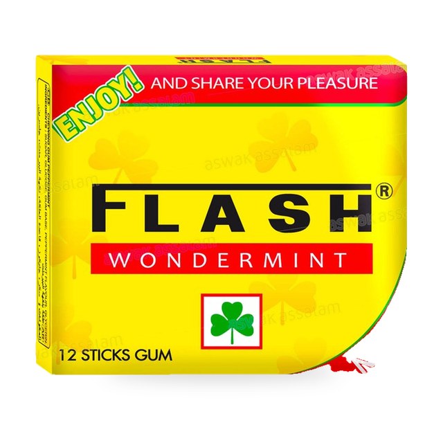 CHEWING-GUM WONDERMINT 12 STICKS FLASH