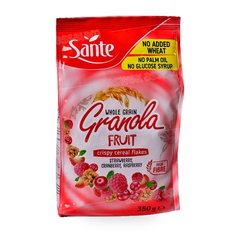 MUESLI AUX FRUITS ROUGES GRANOLA 350G SANTE