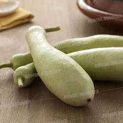 Courgette Slaoui 1 kg