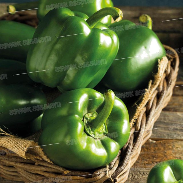 POIVRON VERT 1KG