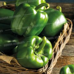 Poivron Vert 1 kg