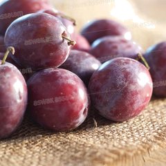 Prune Noir 1 kg