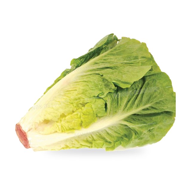 SALADE VERTE A LA PIECE