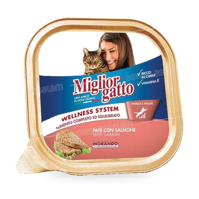 PATE AU SAUMON 100G POUR CHAT MORANDO