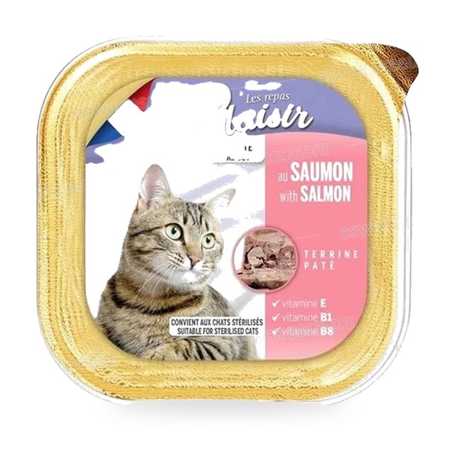 TERRINE PATE POUR CHAT ADULTE AU SAUMON 100G LES REPAS PLAISIR