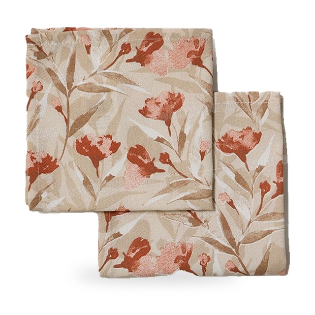 LOT DE 2 SERVIETTES DE CUISINE 38X38CM