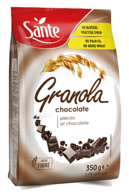 GRANOLA AU CHOCOLAT 350G SANTE