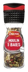 MOULIN 5 BAIES 24G DUCROS