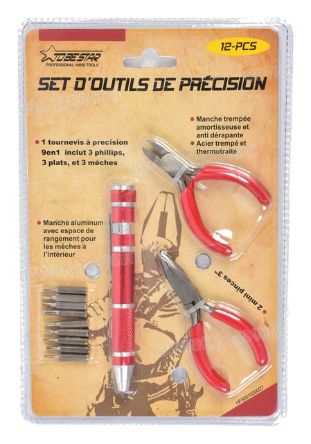 SET D’OUTILS DE PRECISION 12 PIECES