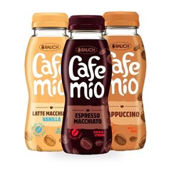 Ice coffee 250ml, diverses saveurs – RAUCH